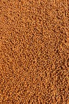 Micro-Pellet-2mm-R-72-Brzoskwinia-Ananas-Feeder-Bait_[2354]_780.jpg