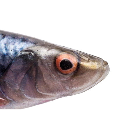 pol_pm_LB-4D-Herring-Shad-Savage-Gear-11cm-9g-ROACH-63657-14673_3.jpg