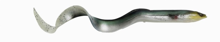 pol_pl_Guma-Savage-Gear-Lb-Real-Eel-134771_1.jpg