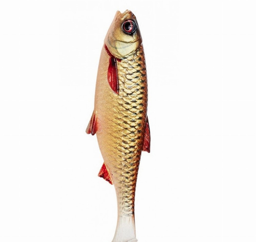 savage-gear-3d-river-roach-10cm-10g-dirty-roach-2184.jpg