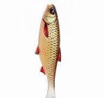 savage-gear-3d-river-roach-10cm-10g-dirty-roach-2184.jpg